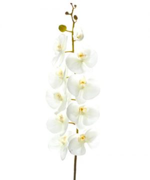 Decostar Artificial Orchid 44" - 6 Pieces - White